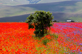 Los efectos de la primavera en tu salud: pautas para un cambio de estación lleno de bienestar