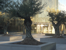 Oficinas de Cigna en Madrid